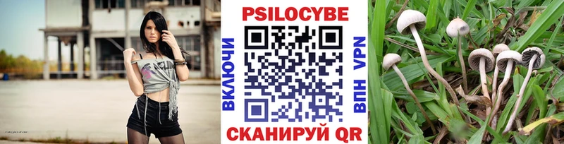 Псилоцибиновые грибы Magic Shrooms  купить наркоту  гидра как зайти  Дыгулыбгей 